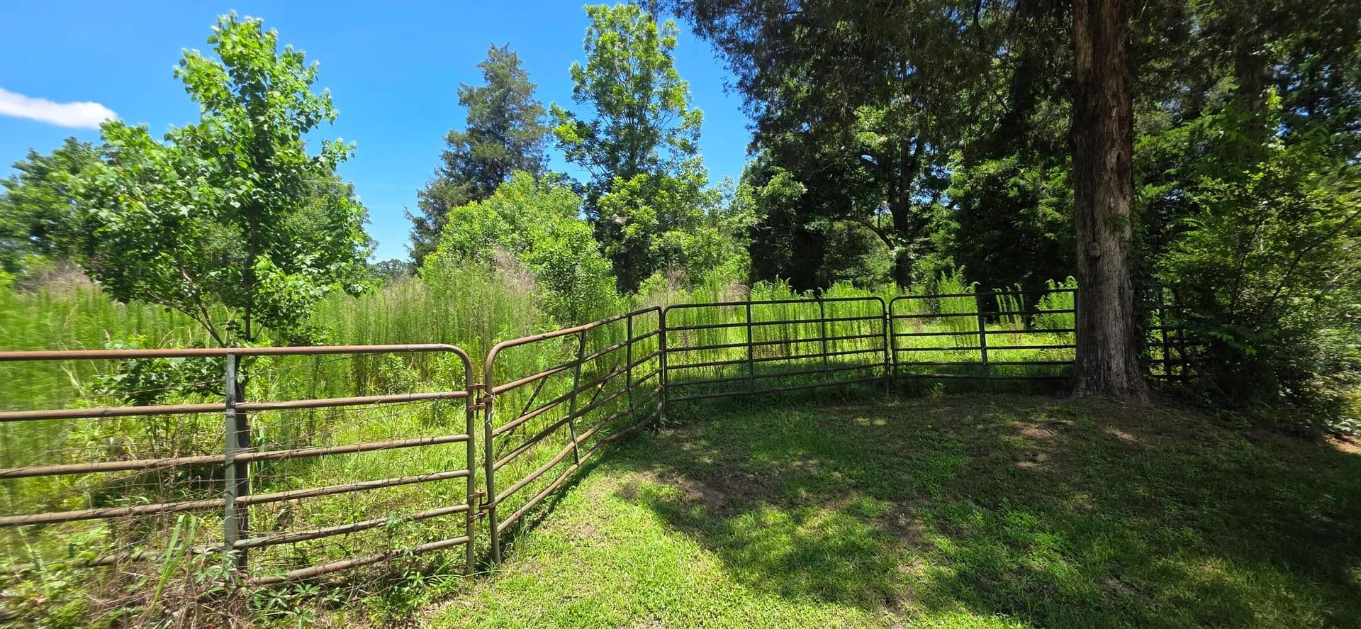 Property from 0 Buford Evans Rd. - KW - Petal, Mississippi, 39465
