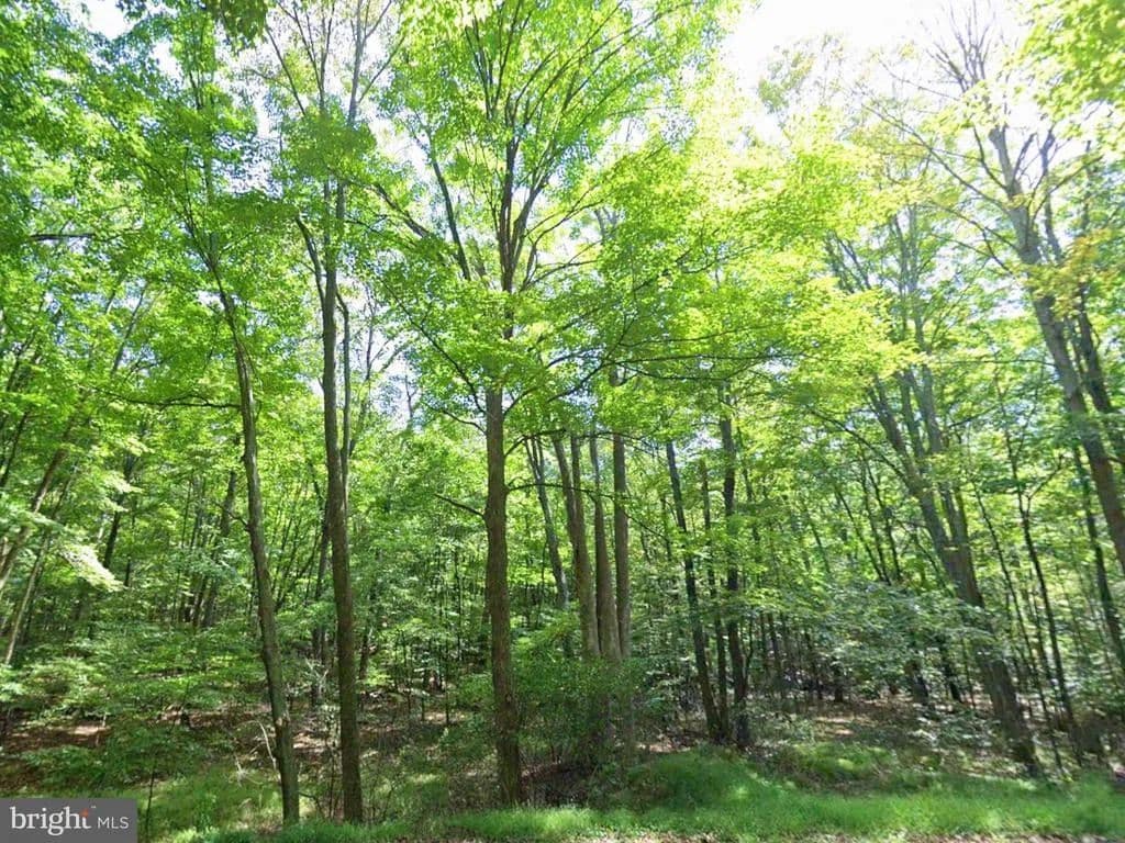 Property from 00 JUNIATA VALLEY - KW - land for sale
