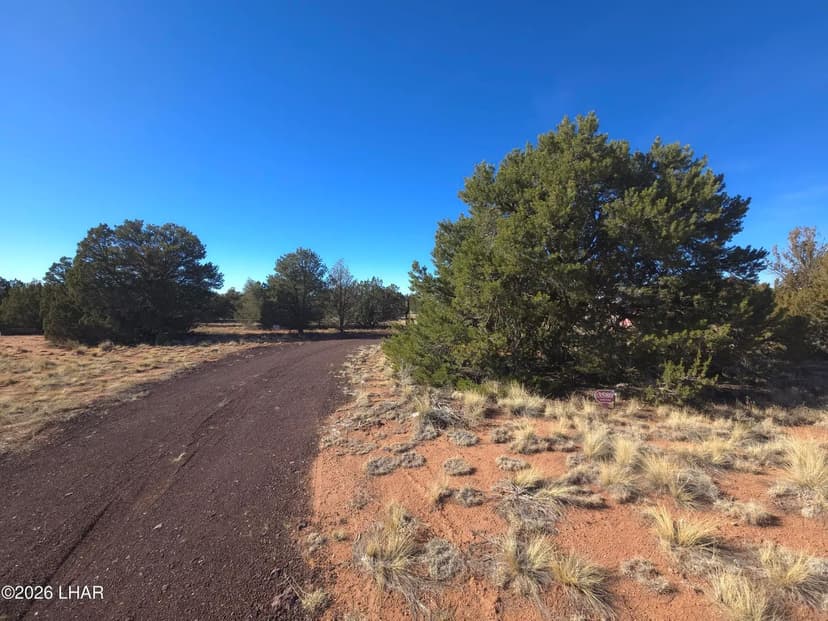 Vacant Land in Williams