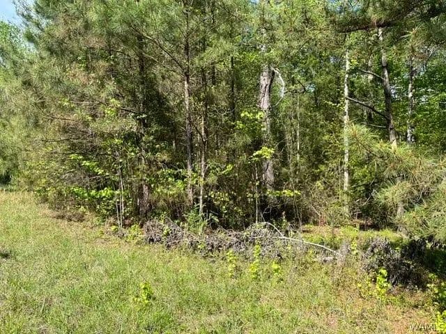6.51 Acres of Land for Sale in Centreville, Alabama - Centreville, Alabama, 35042