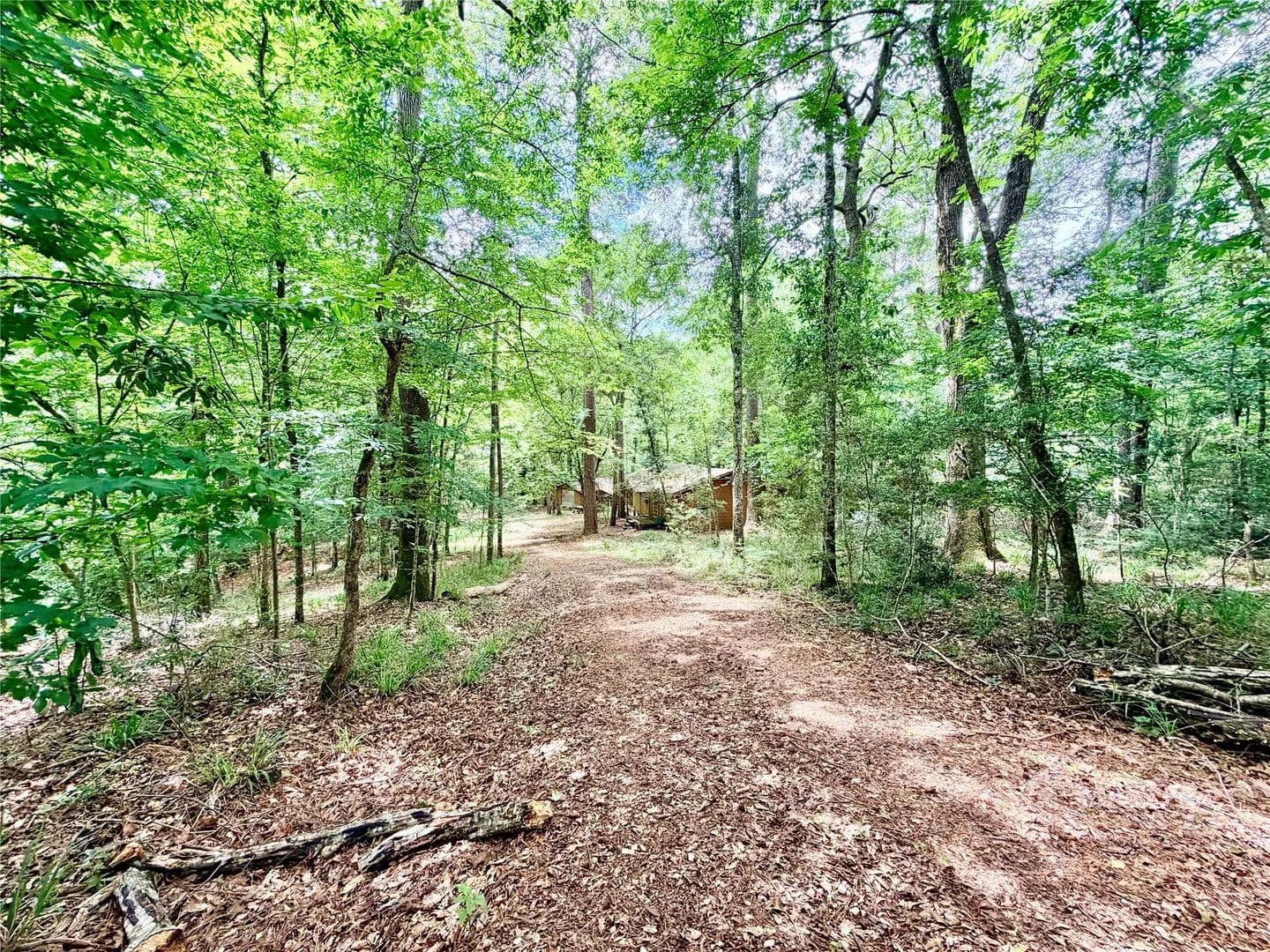 70.79 Acres of Land for Sale in Woodville, Texas - Woodville, Texas, 75979