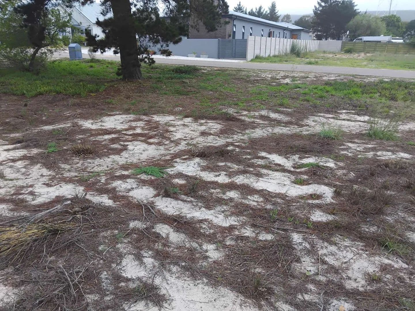225 Acres of Land for Sale in Albertinia, Western Cape - land for sale