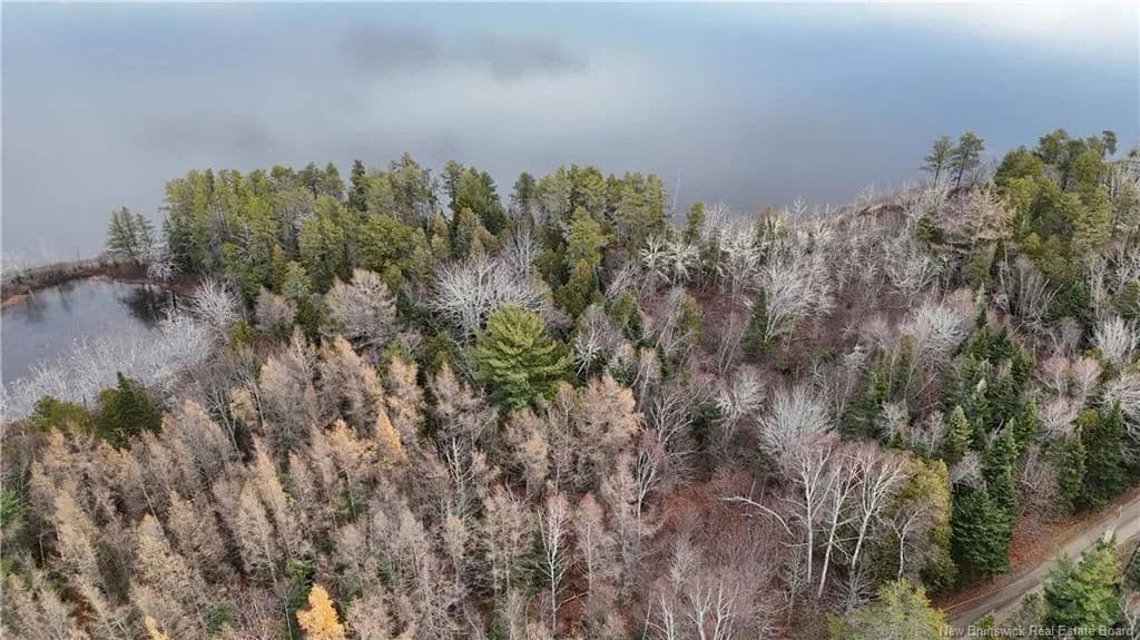 Land for Sale in Big Cove, - Owl Cove Lane - land for sale
