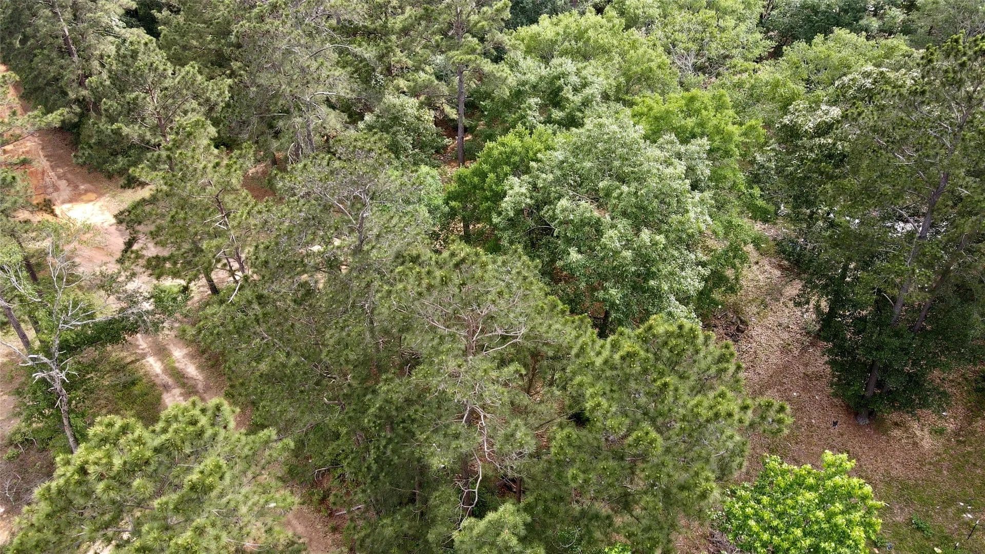 1.92 Acres of Land for Sale in Montgomery, Texas - Montgomery, Texas, 77316