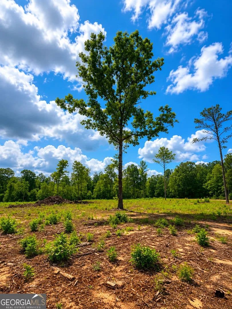 Property from 0 White Road #1 - KW - Pine Mountain, Georgia, 31822