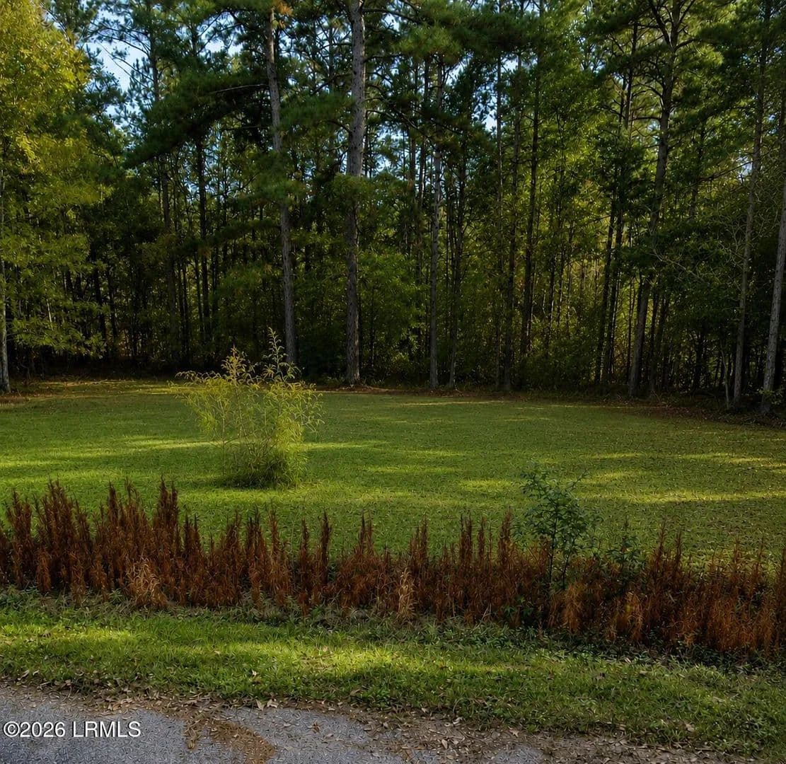Property from 539 Luther Street - KW - Fairfax, South Carolina, 29827