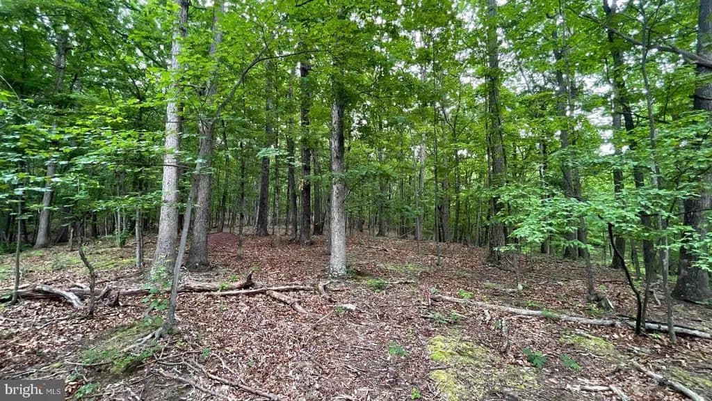 Property from Lot 53 HIDDEN SPRINGS COURT - KW - Slanesville, West Virginia, 25444