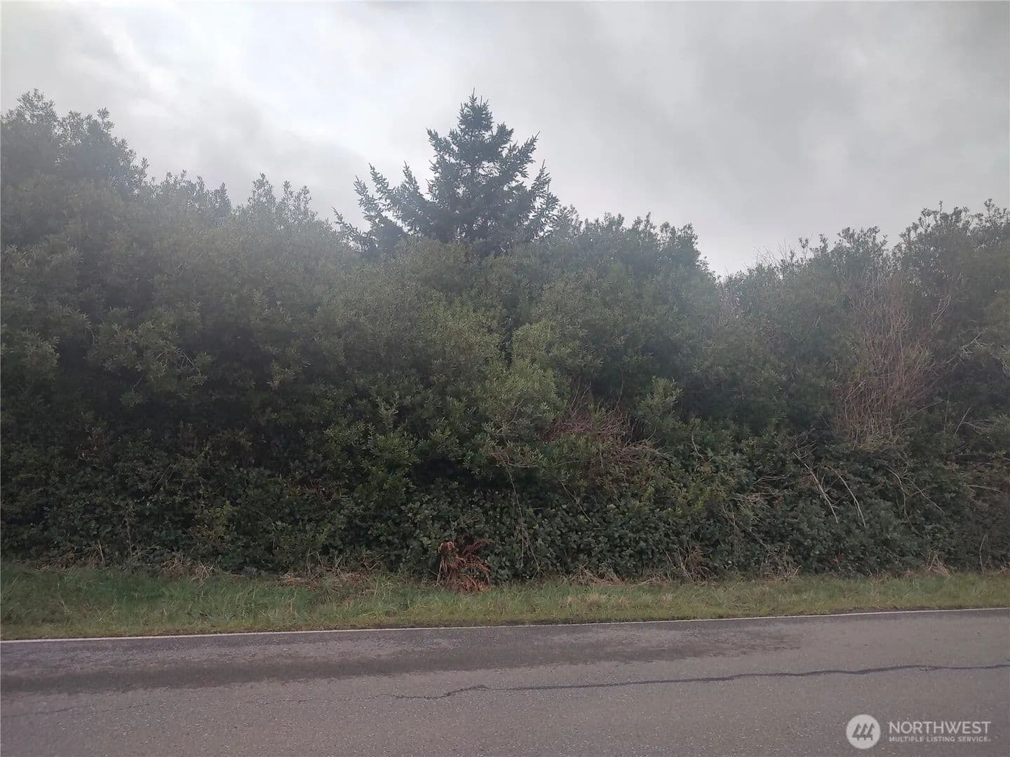 Land -Single Family Acreage in Ocean Shores - Ocean Shores, Washington, 98569