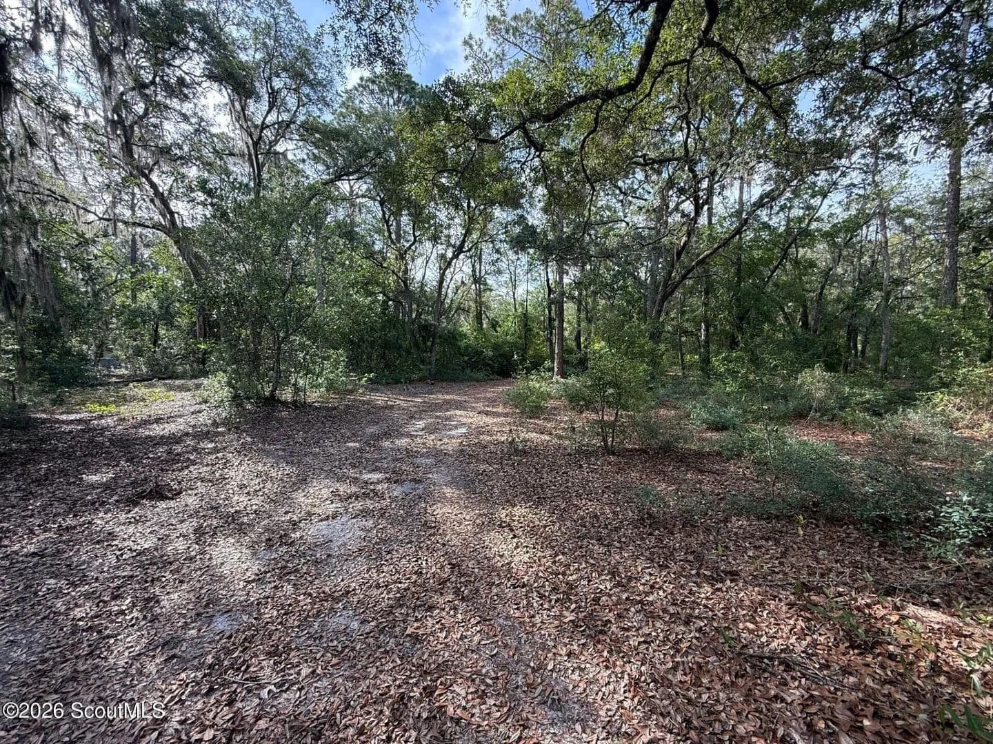 3 Acres of Land for Sale in Waynesville, Georgia - Waynesville, Georgia, 31566