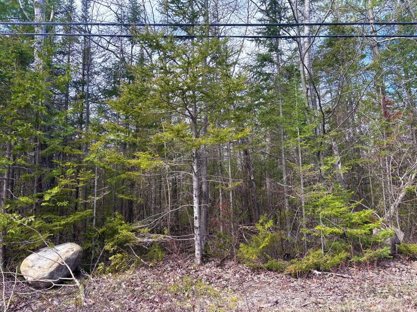 0.79 Acres of Land for Sale in Presque Isle, Michigan - Presque Isle, Michigan, 49777