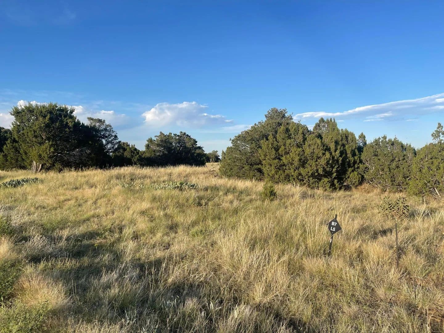 L10 B7 Orlando's, Walsenburg, CO 81089 - Walsenburg, Colorado, 81089