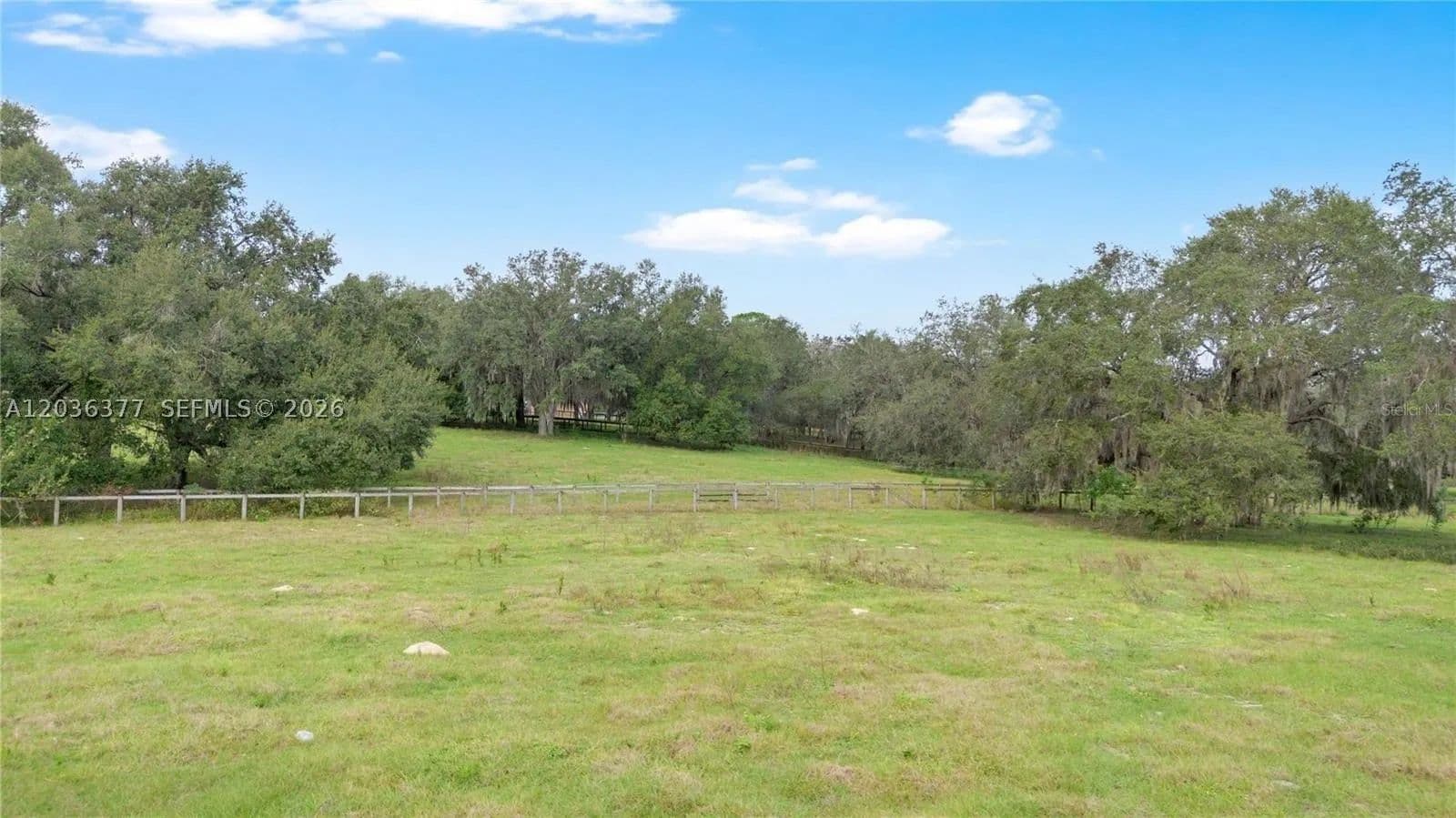 9.75 Acres of Land for Sale in Lake County, Florida - Florida, 34731