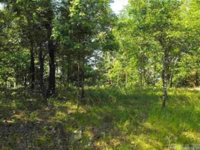 Property from 46 Binefar Way - KW - Hot Springs Village, Arkansas, 71909