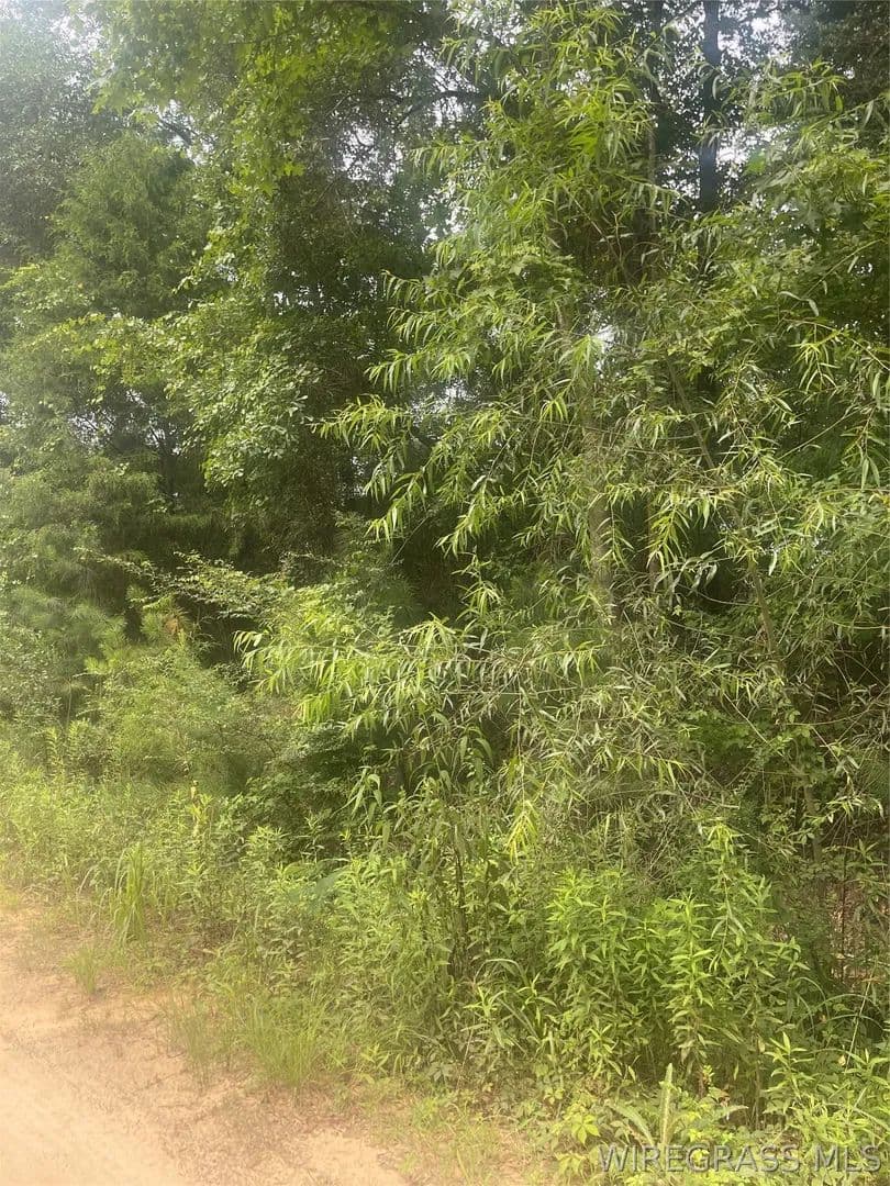 Vacant Land in Daleville - Daleville, Alabama, 36322