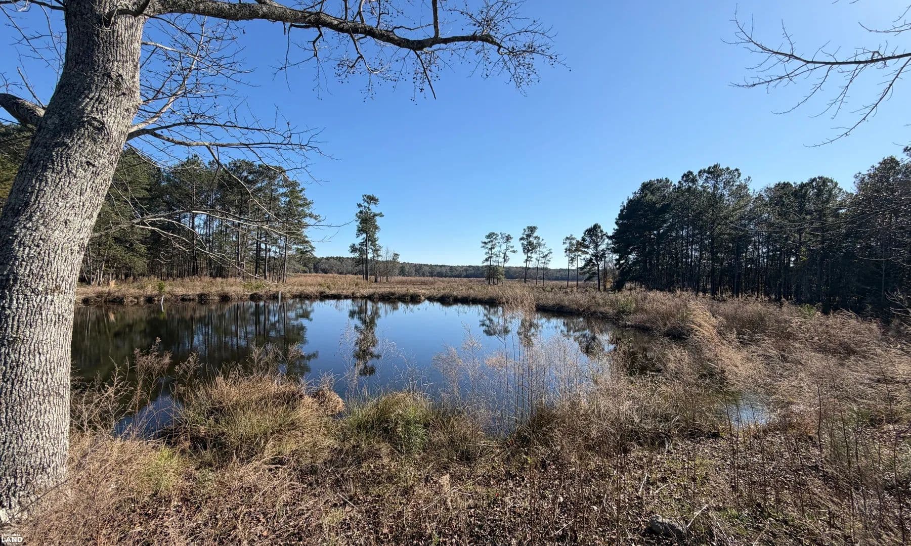 New Brockton Homesite with Pond - New Brockton, Alabama, 36351