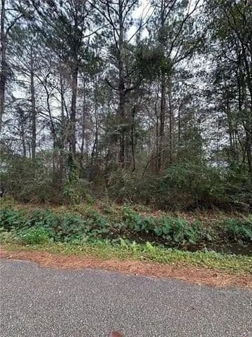 Lots & Land-Other in Abita Springs - Abita Springs, Louisiana, 70420