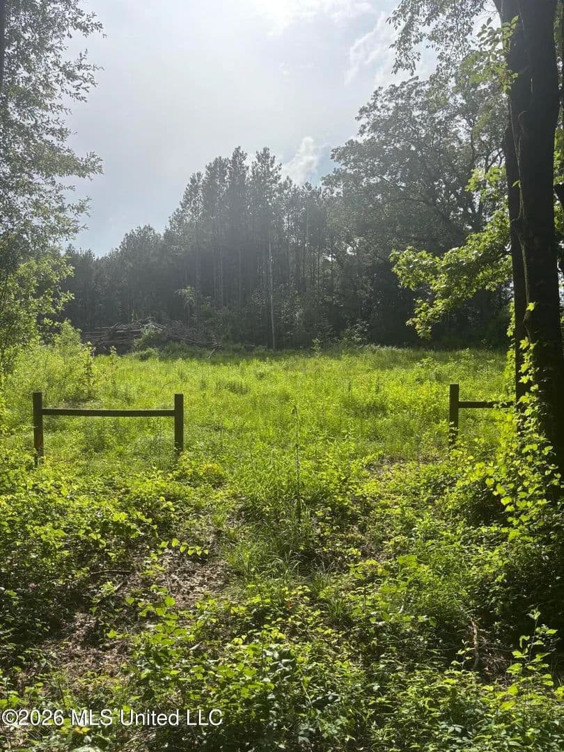 Property from 8119 Dry Grove Road - KW - Raymond, Mississippi, 39154