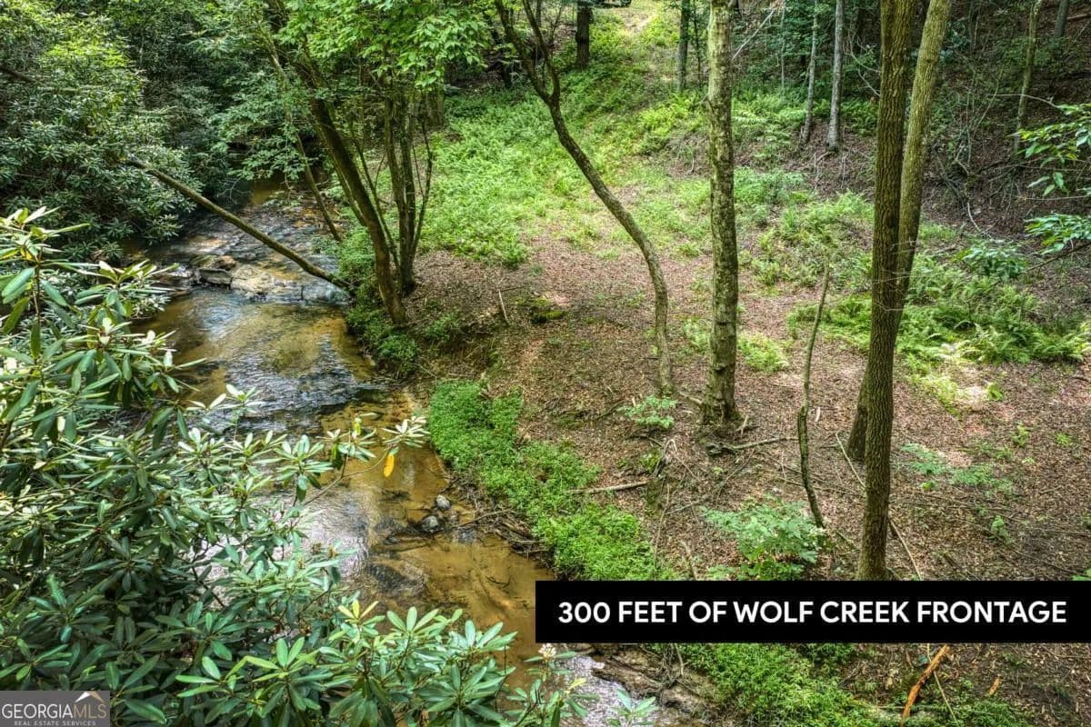 3.13 Acres of Land for Sale in Mineral Bluff, GA - Mineral Bluff, Georgia, 30559