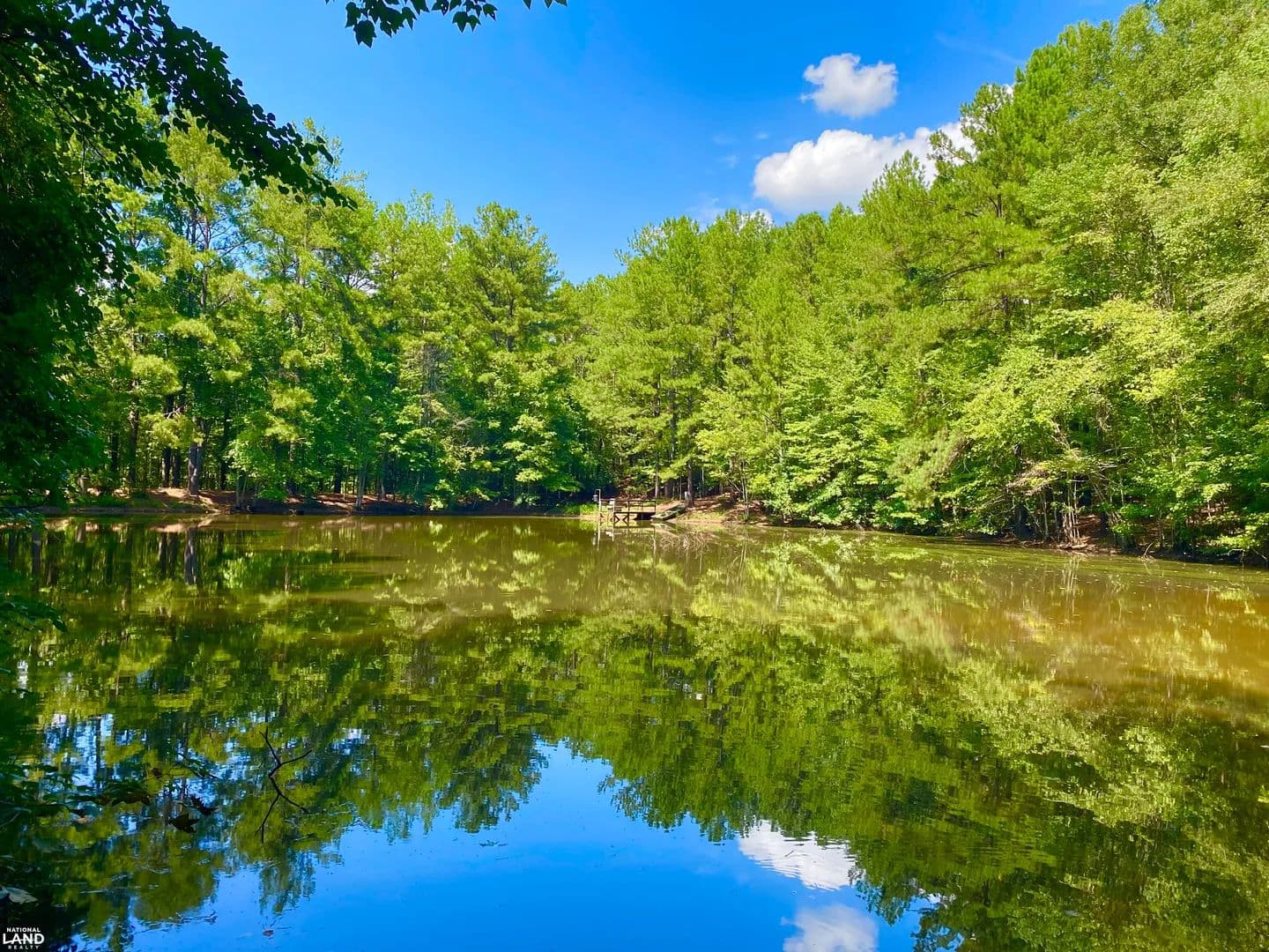 Cottondale: Hargrove Rd. - Home - Pond - Hunting - Cottondale, Alabama, 35453