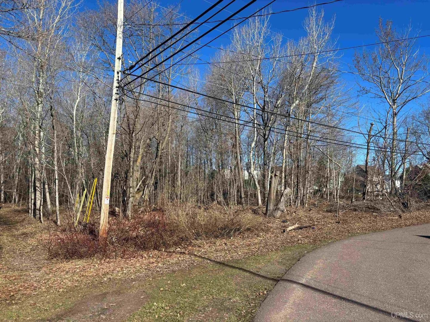 Vacant Land in Calumet - Calumet, Michigan, 49913