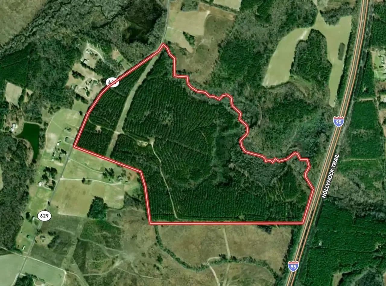 145 Acres of Recreational and Residential Land For Sale in Greensville County VA! - Skippers, Virginia, 23879