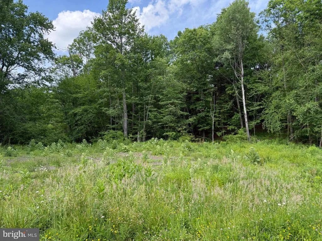 0.46 Acres of Land for Sale in PHILIPSBURG, PA - land for sale