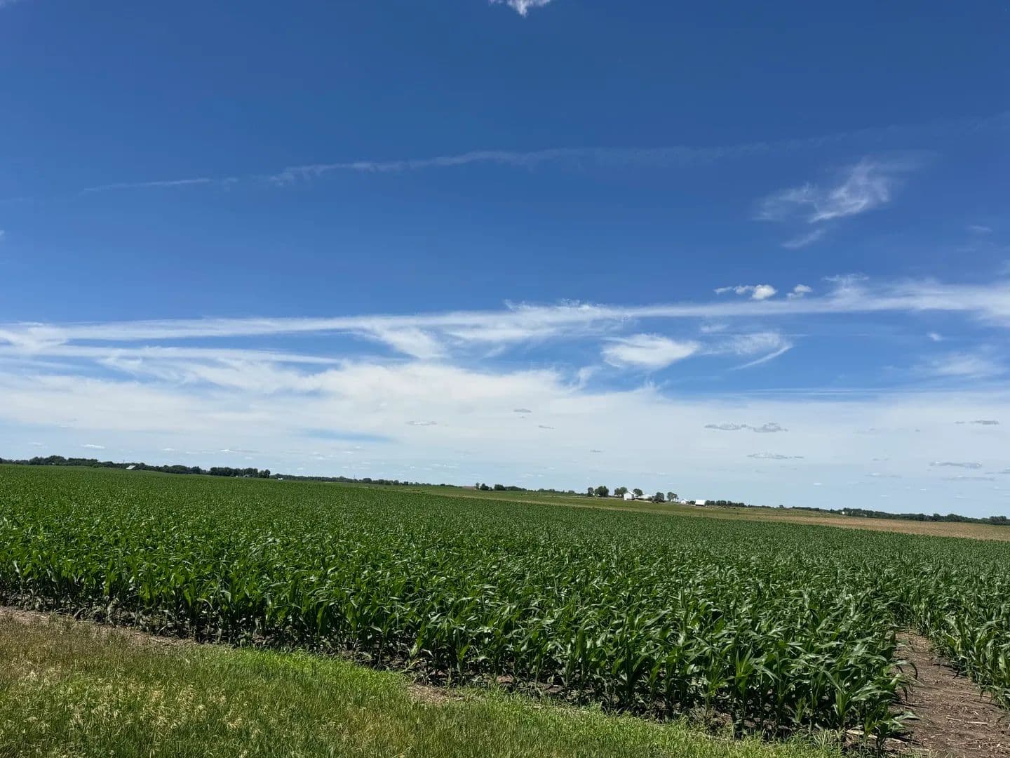 11.5 Acres of Land for Sale in Atkinson, Illinois - Atkinson, Illinois, 61235