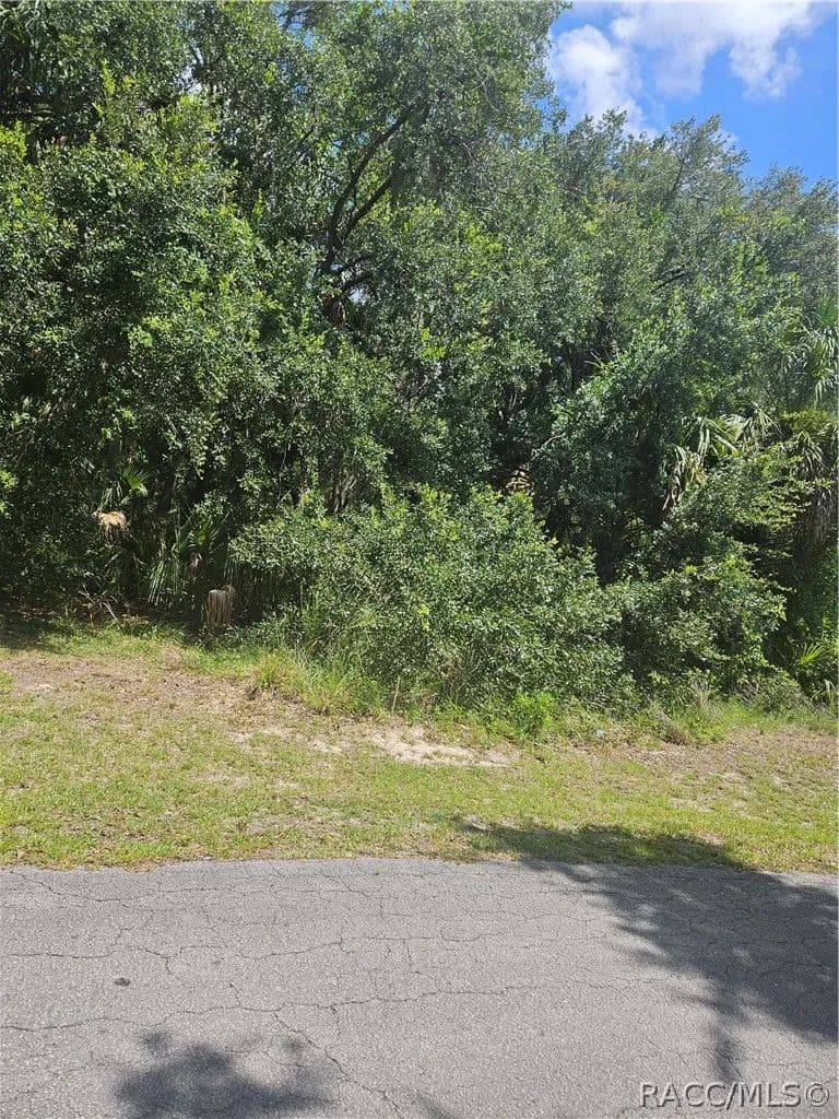0.35 Acres of Land for Sale in Crystal River, FL - Crystal River, Florida, 34429