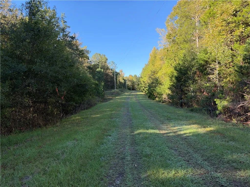 Vacant Land in Iva - Iva, South Carolina, 29655