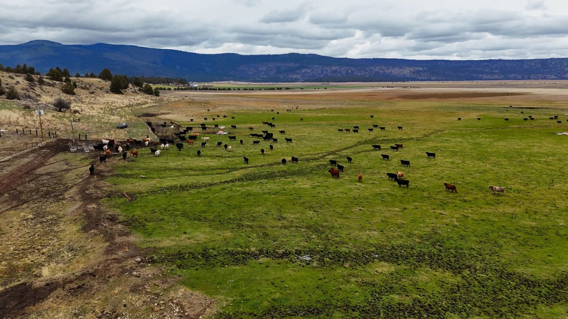 Brookside Ranch - Klamath Falls, Oregon, 97601