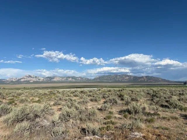 Land -Single Family Acreage in Milford