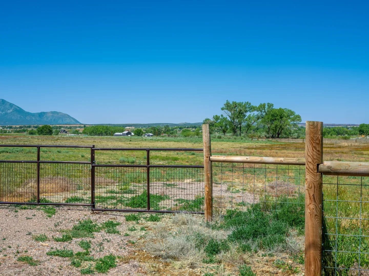 13.2 Acres of Colorado Land for Sale in Cortez - No HOA or Covenants! - land for sale