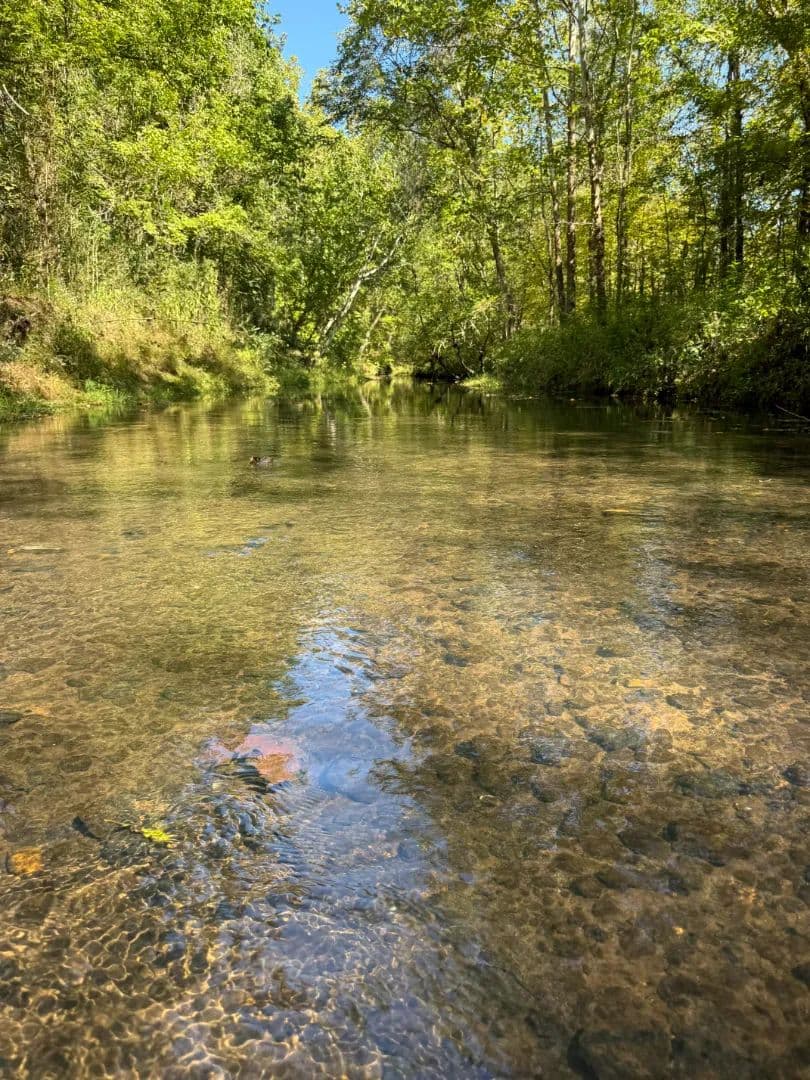 343 Acres with a Camp in Tallahatchie County, MS