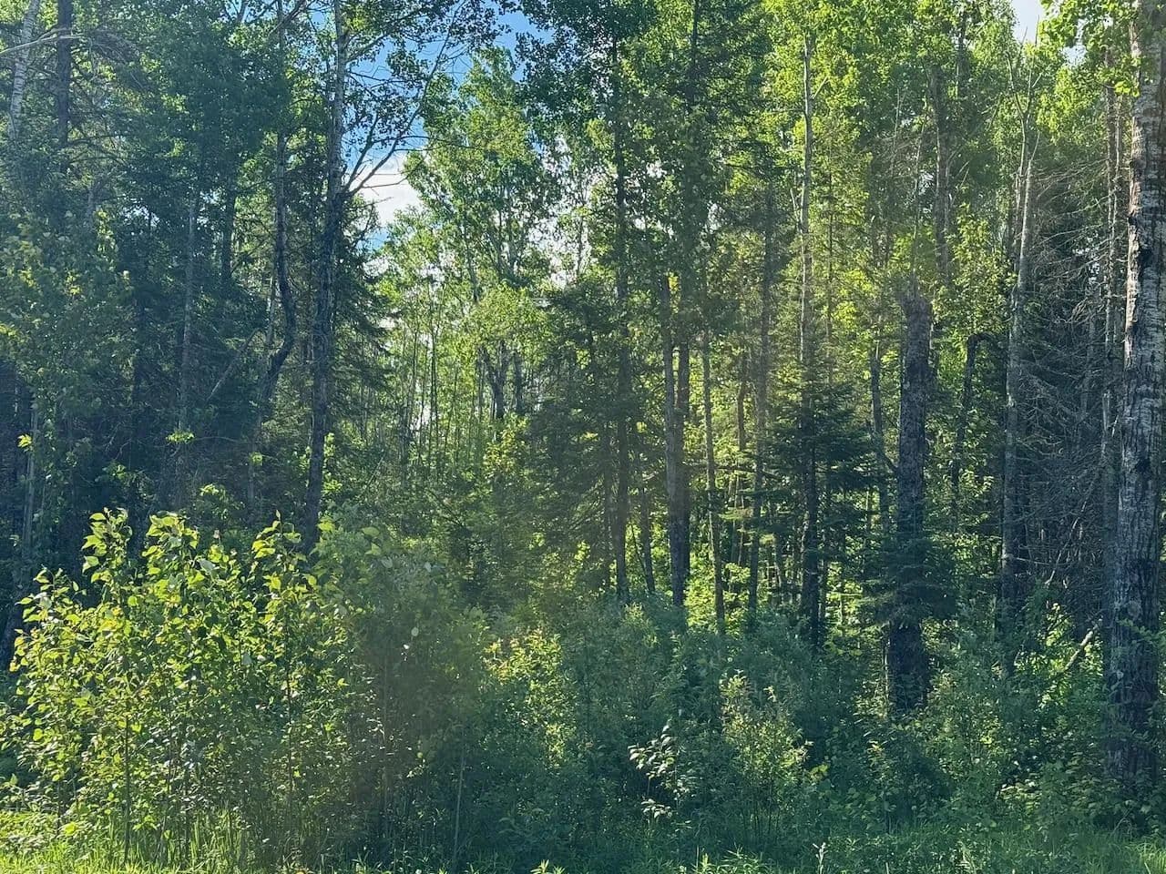Property from 1576 County Road 8 - KW - Holyoke, Minnesota, 55749