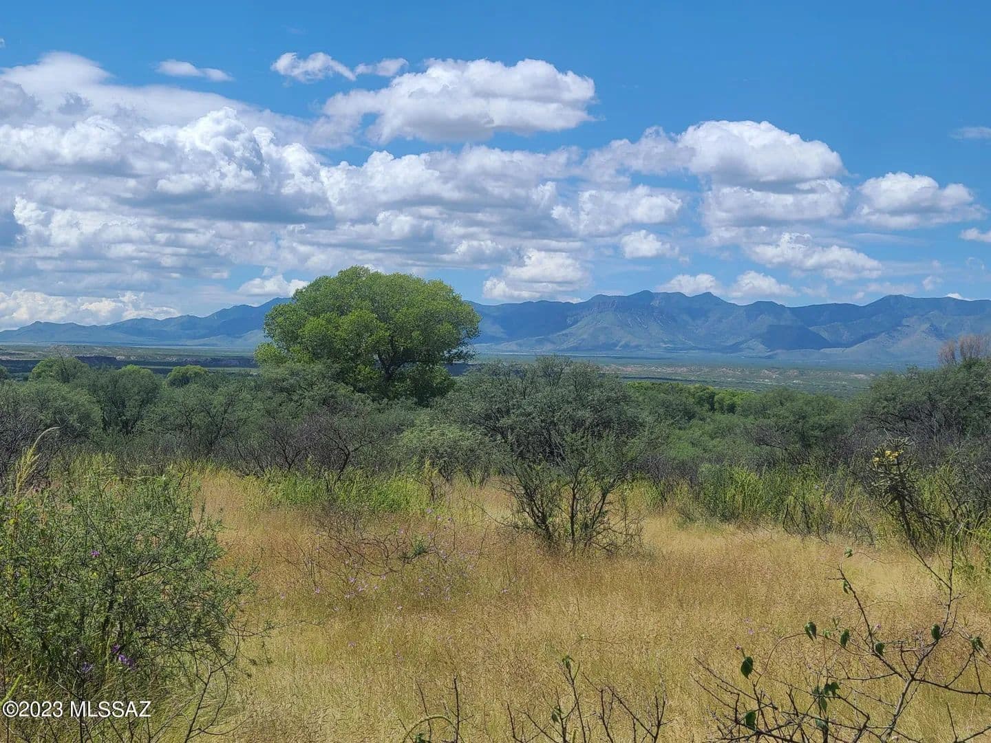 Property from 2948 Highway 80 RIVERBEND #1 - KW - , Arizona, 85630