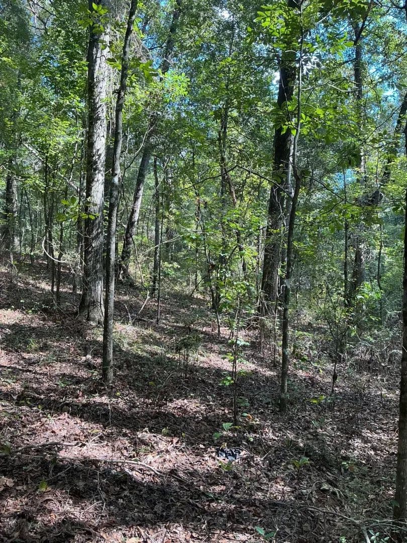 1.77 Acre Homesite - land for sale