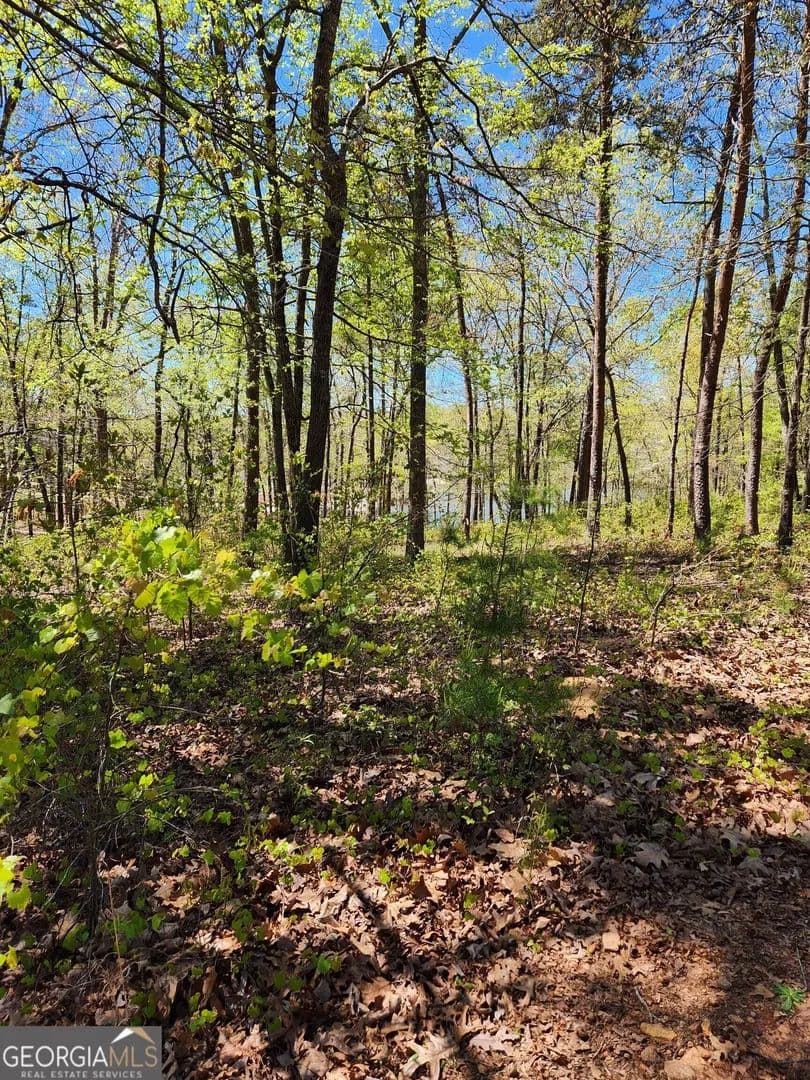 0.59 Acres of Land for Sale in Hartwell, Georgia - Hartwell, Georgia, 30643