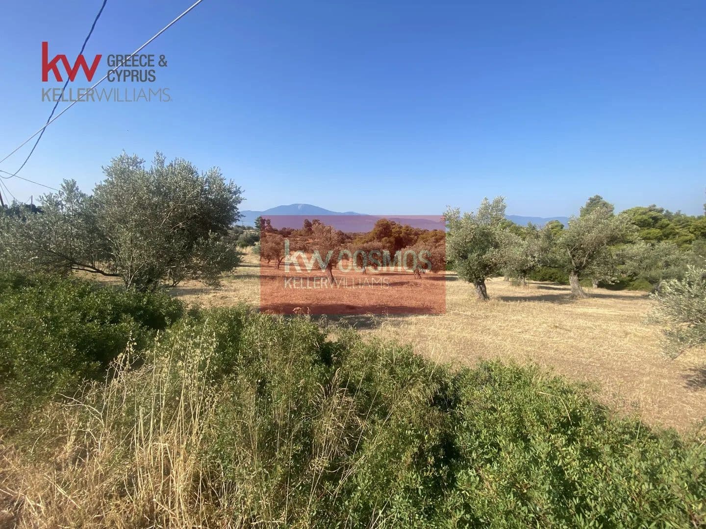Land for Sale in Messapia, Evia - land for sale