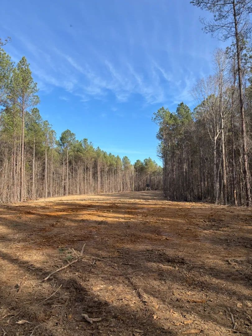 80 Acres in Calhoun County, MS