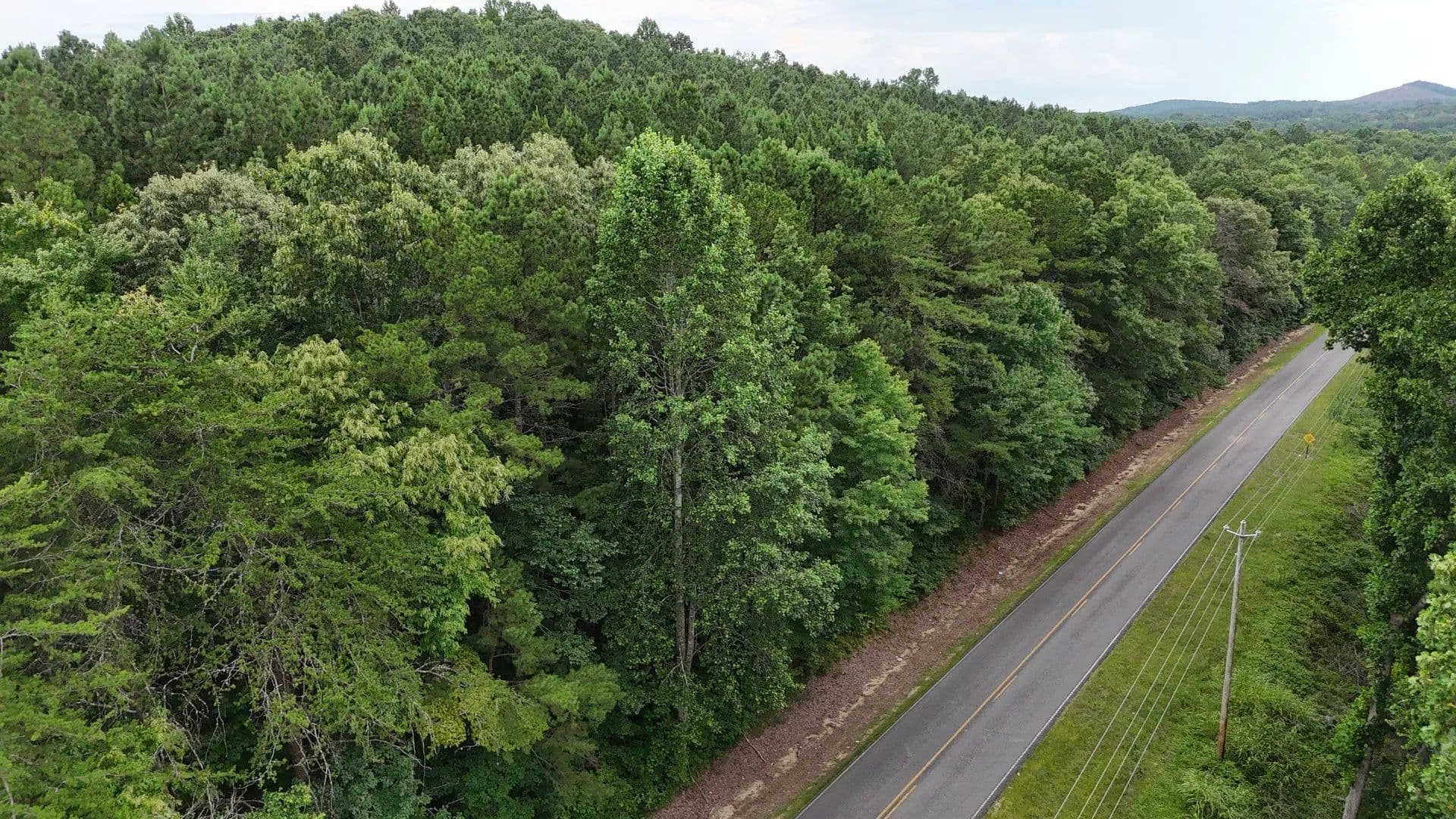 Pine Ridge Tract 3 – 3.45 Acres of Country Living - Gaylesville, Alabama, 35973