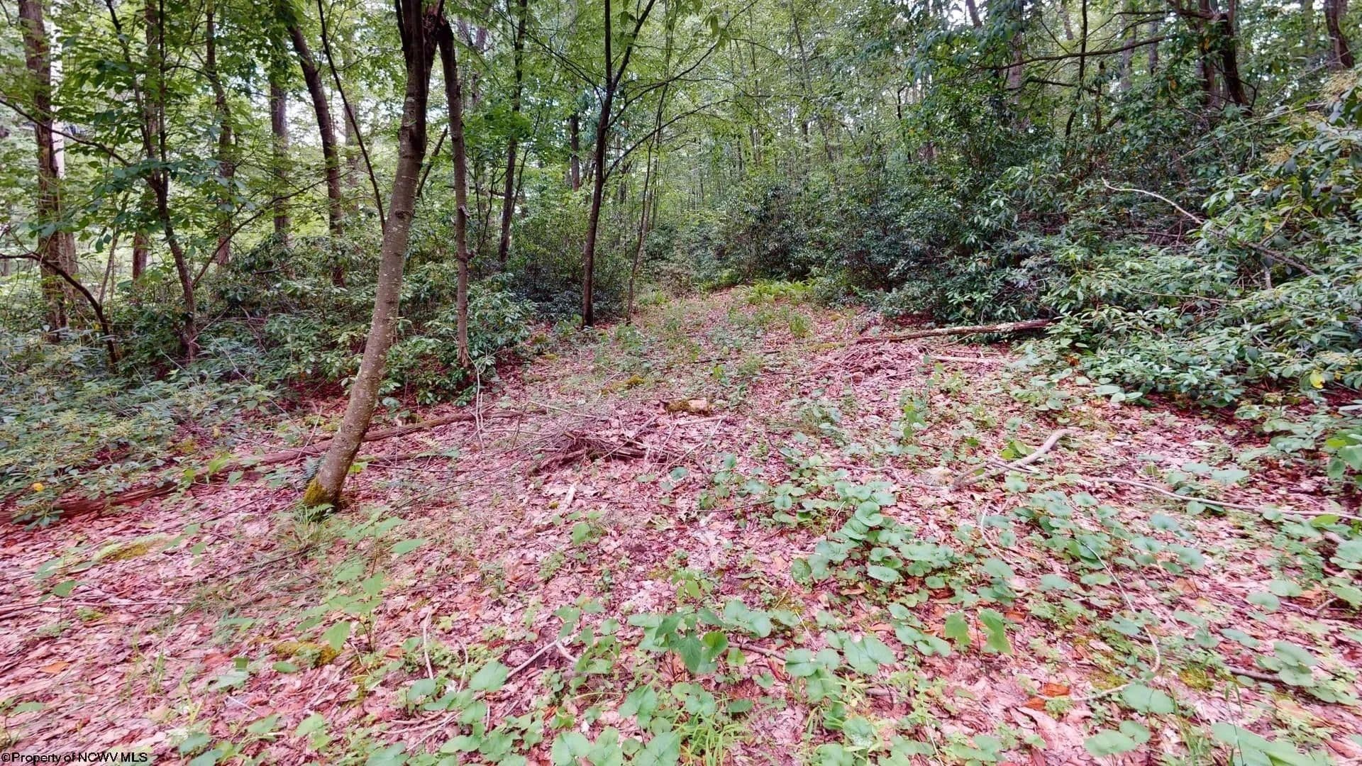 Property from LOT 103 Redwood Drive - KW - Terra Alta, West Virginia, 26764