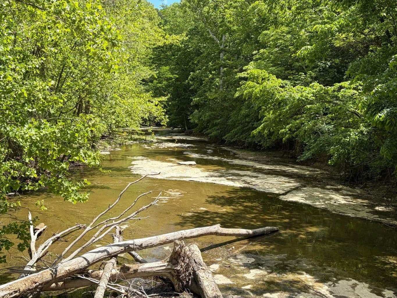 Land -Agricultural (Not Zoned) in Nancy - Nancy, Kentucky, 42544