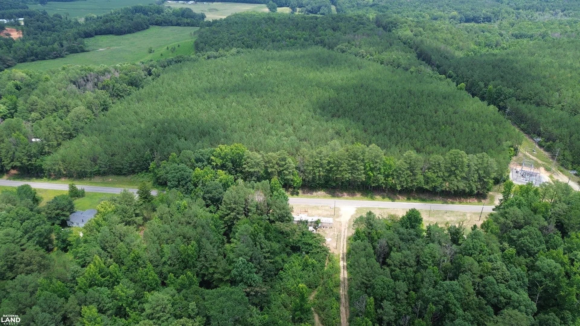 Brilliant Homesite and Timber Investment - Brilliant, Alabama, 35548