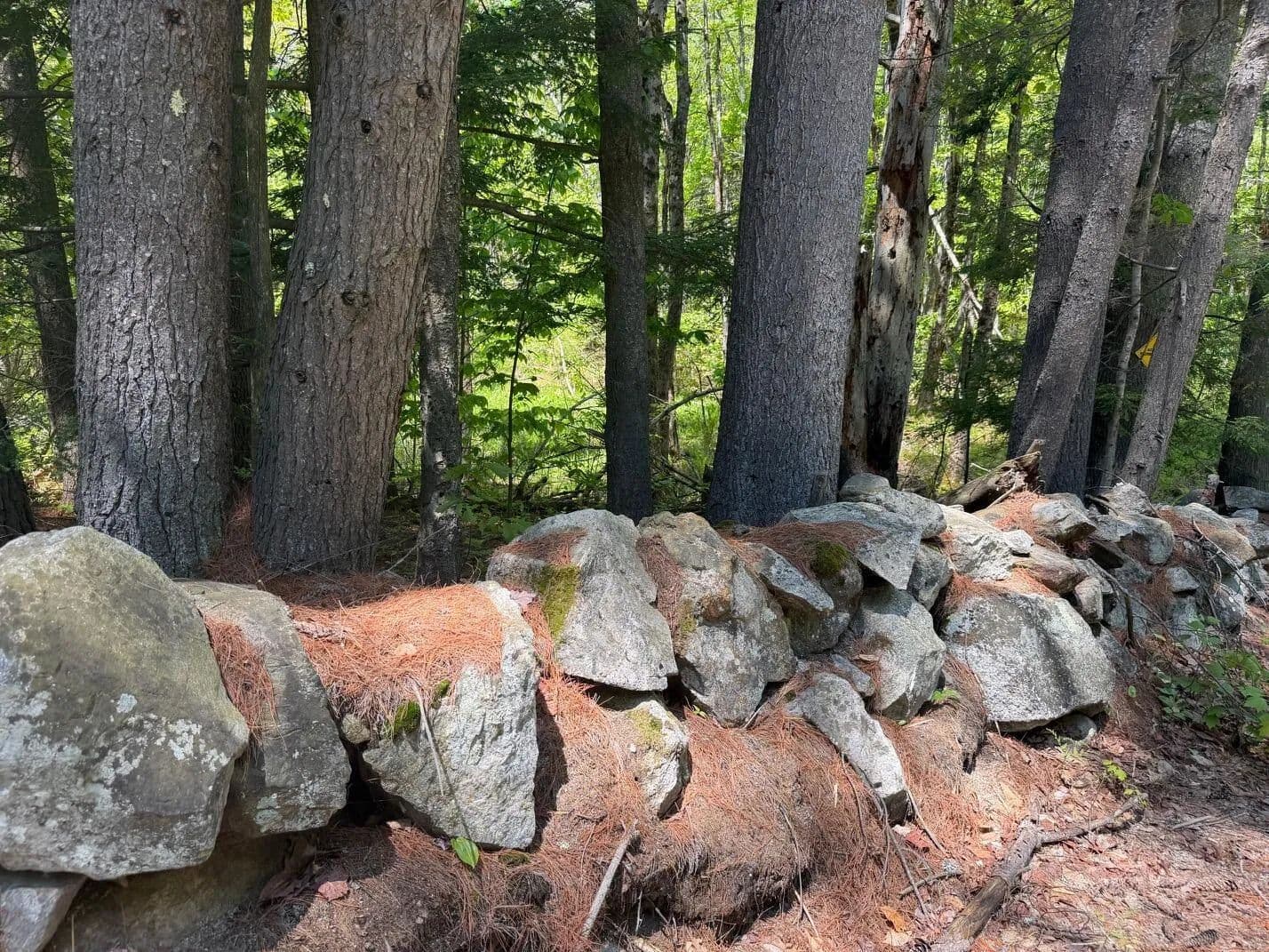110 Acres of Land for Sale in Waterboro, Maine - land for sale
