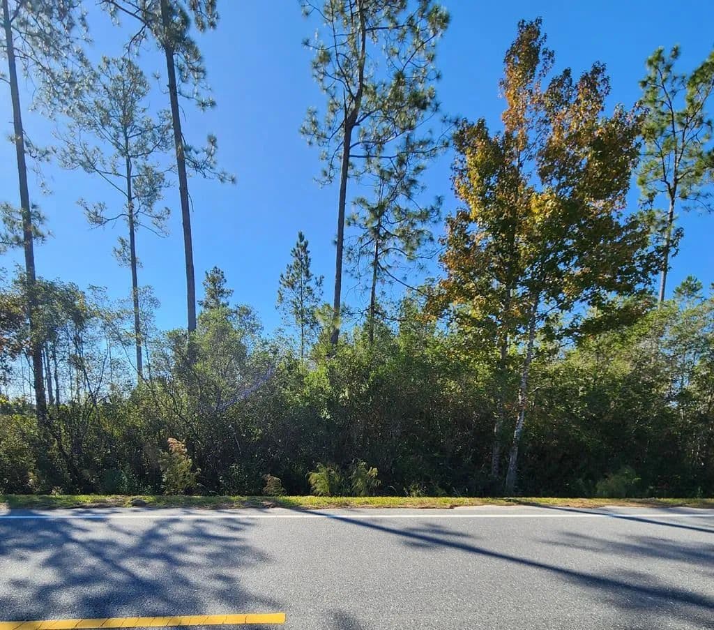 Property from Lot 32 Doc Whitfield Rd - KW - Wewahitchka, Florida, 32465