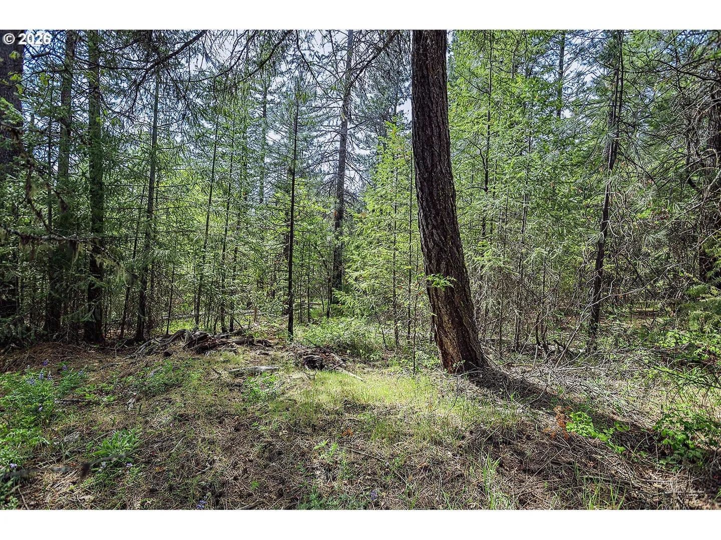 Lots & Land-Other in Goldendale - Goldendale, Washington, 98620