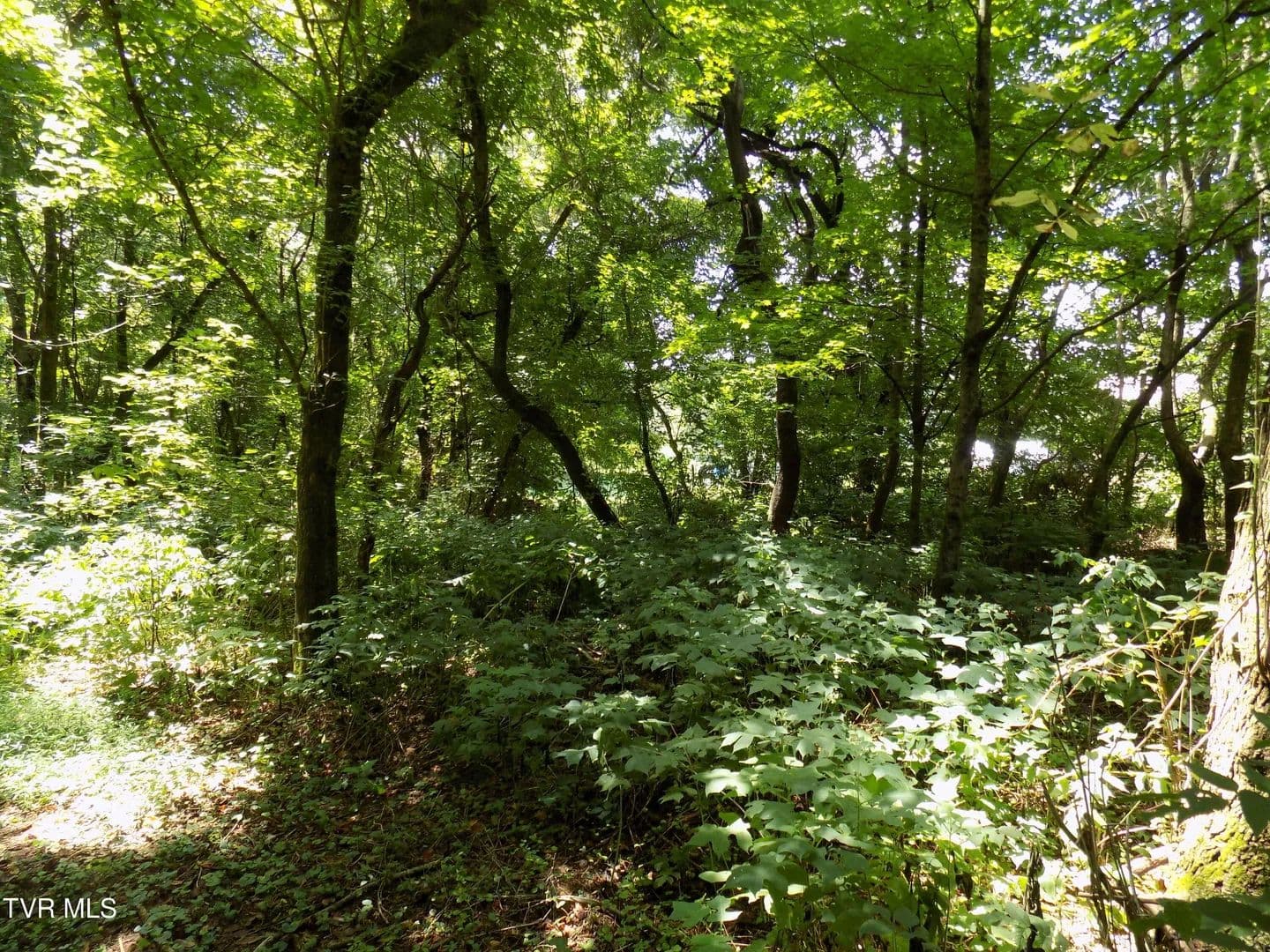 0.64 Acres of Land for Sale in Rogersville, Tennessee - Rogersville, Tennessee, 37857