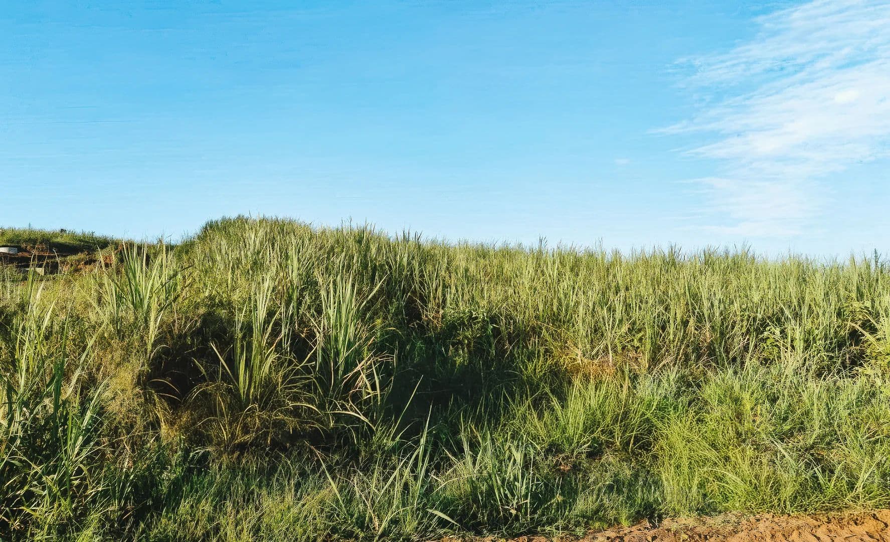 916 Acres of Land for Sale in Ballito, KwaZulu-Natal - land for sale