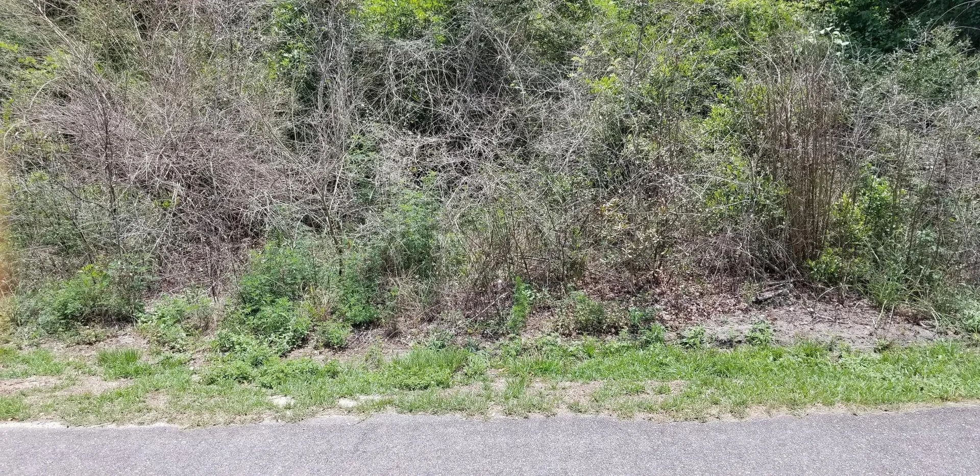 Lots & Land-Other in Walterboro - Walterboro, South Carolina, 29488