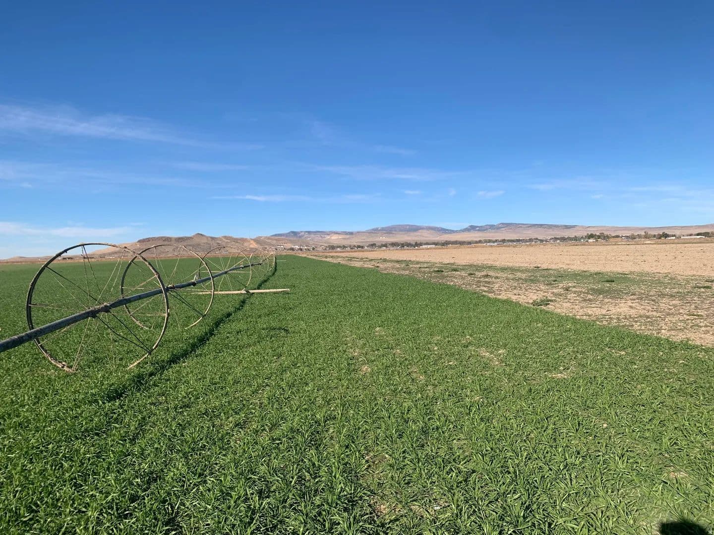 1 Acre of Land for Sale in Centerfield, Utah - Centerfield, Utah, 84622